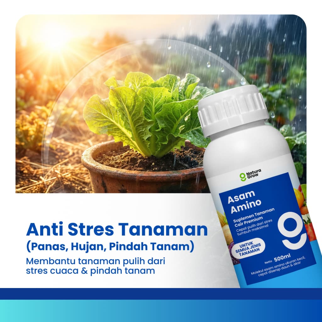 Naturagrow Asam Amino Cair – Nutrisi Tanaman untuk Mendukung Pertumbuhan & Kesuburan