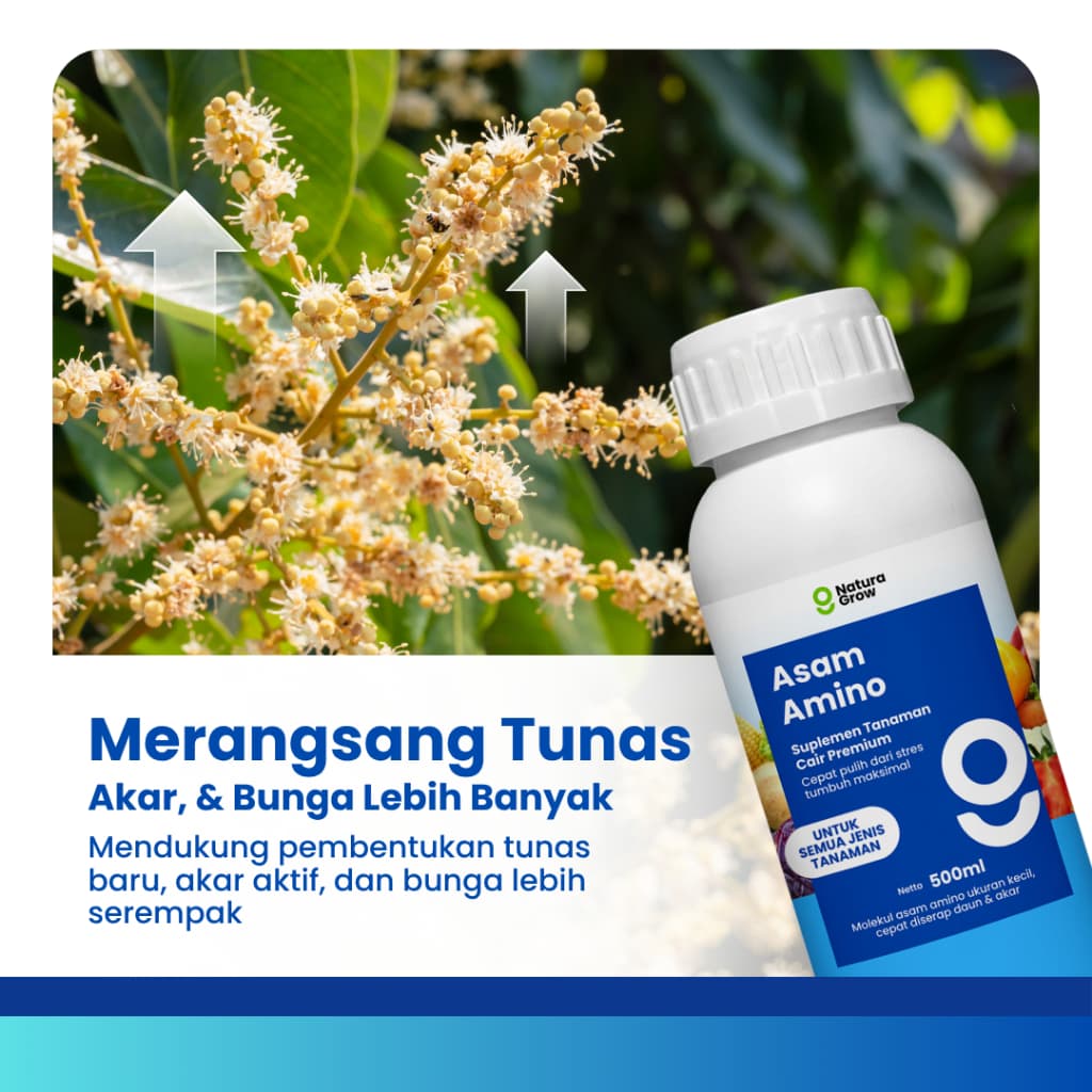 Naturagrow Asam Amino Cair – Nutrisi Tanaman untuk Mendukung Pertumbuhan & Kesuburan