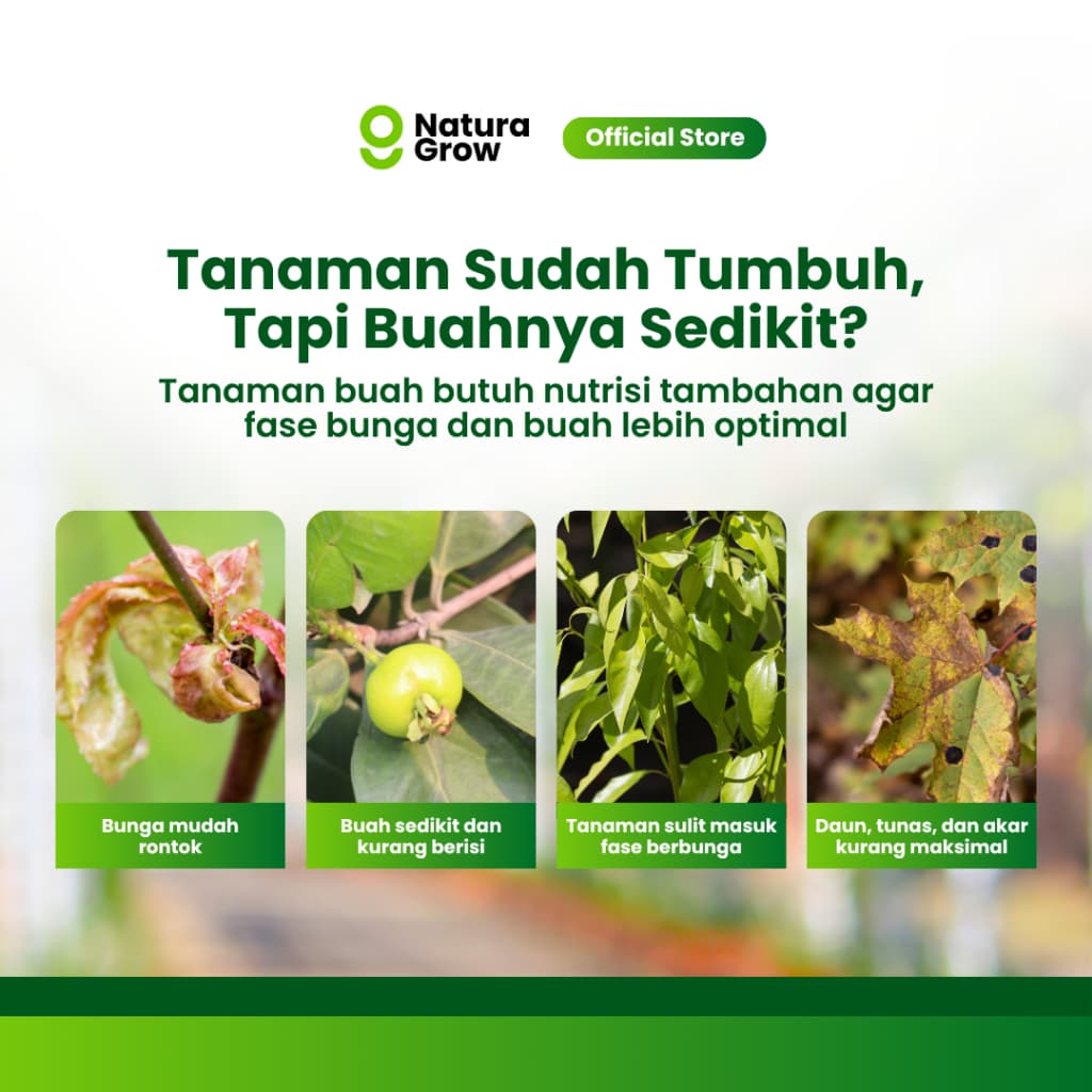 NaturaGrow - Booster Buah Premium | Pupuk Bubuk Perangsang Buah Lebat, Manis & Berkualitas