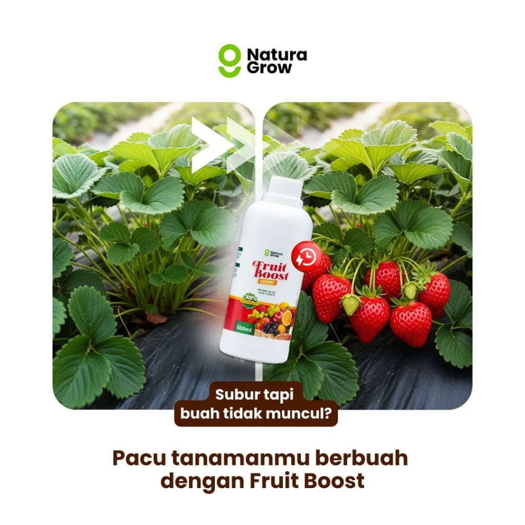 Naturagrow - Fruit Boost Nutrisi Buah Cepat Panen 500ml