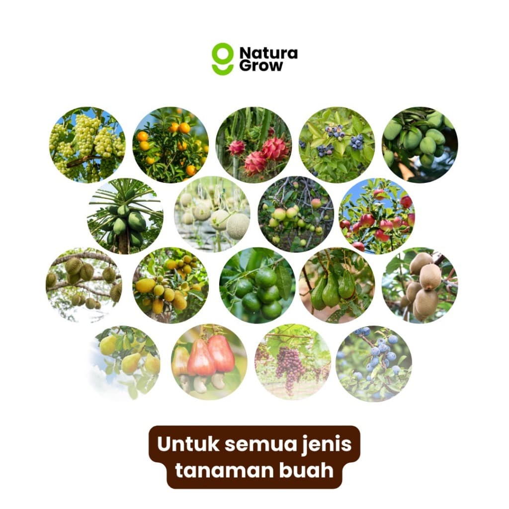 Naturagrow - Fruit Boost Nutrisi Buah Cepat Panen 500ml