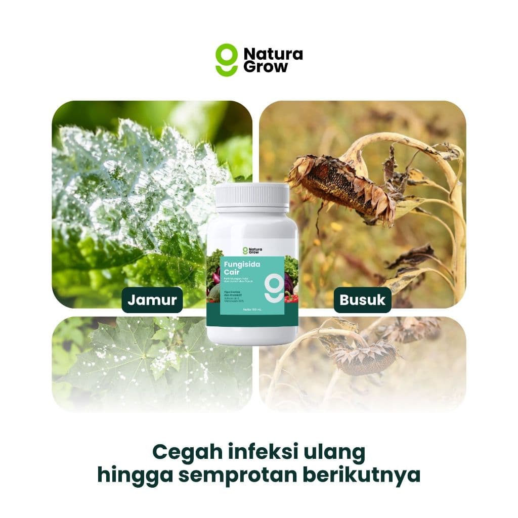 Naturagrow - Fungisida Cair 150ml Perlindungan Maksimal dari Penyakit Jamur