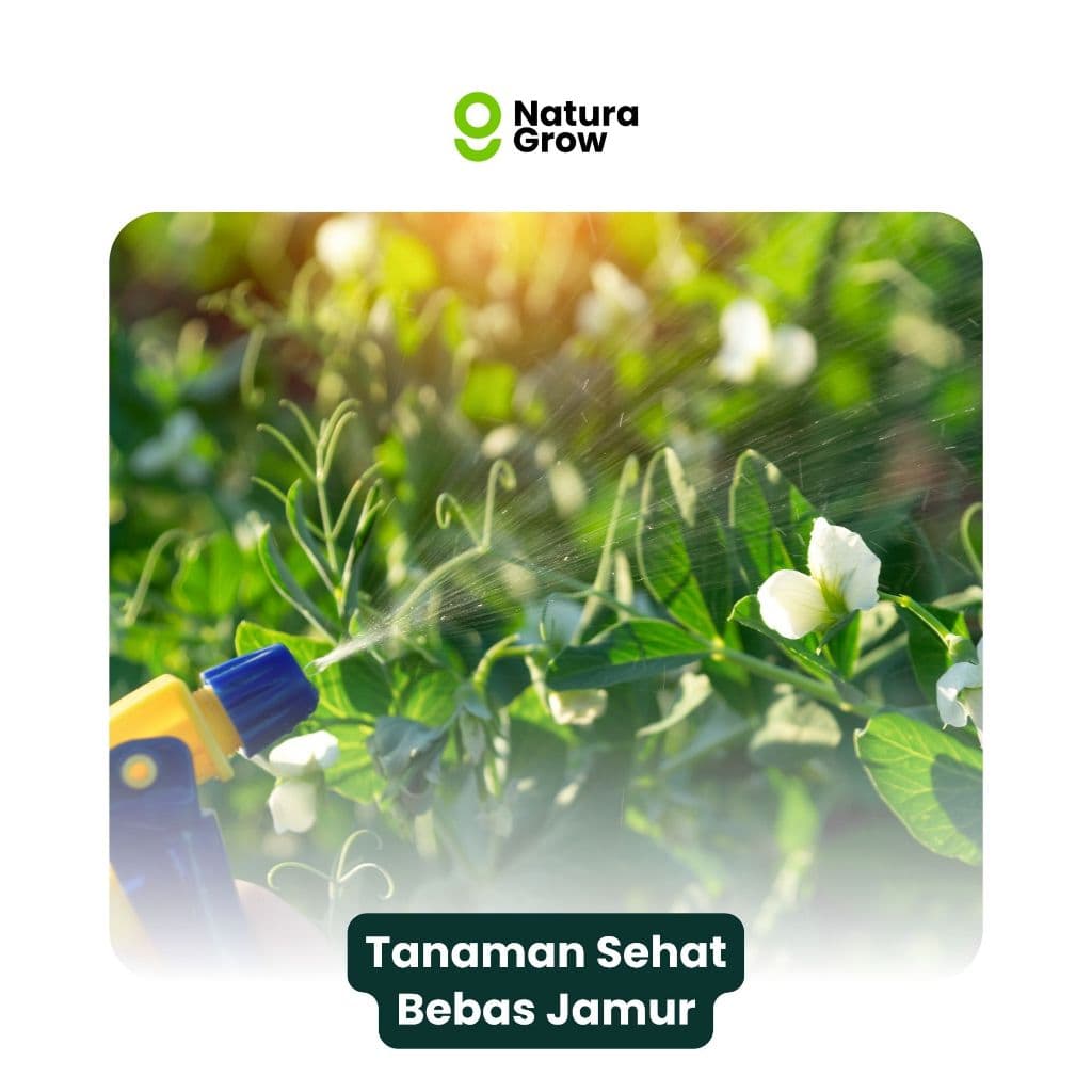 Naturagrow - Fungisida Cair 150ml Perlindungan Maksimal dari Penyakit Jamur