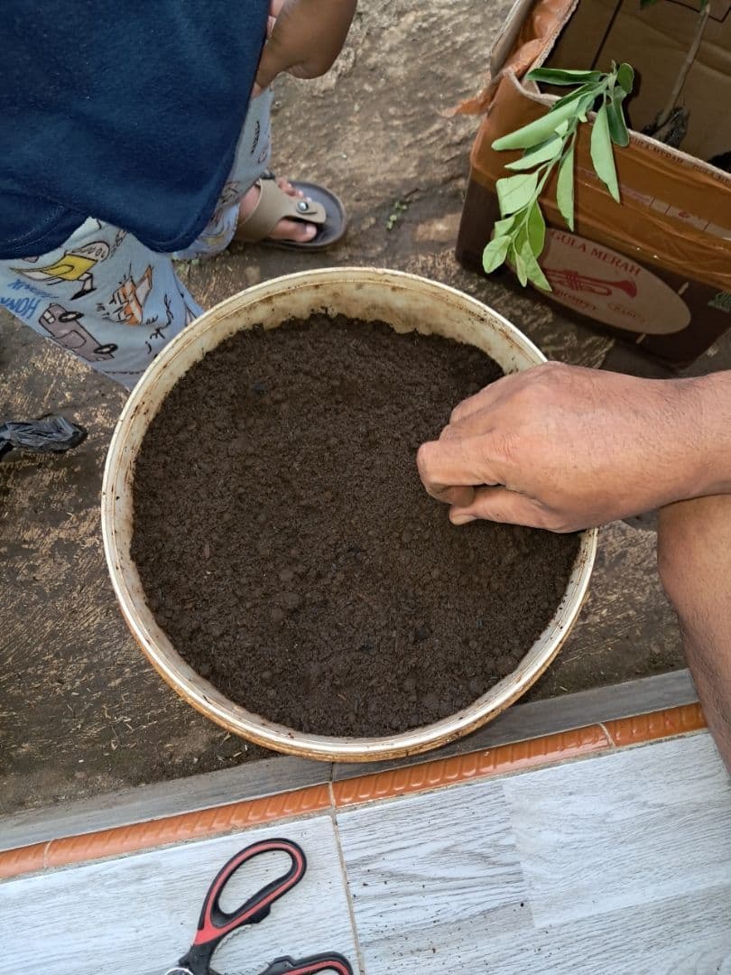 Naturagrow - Media Tanam Siap Pakai 5 Liter