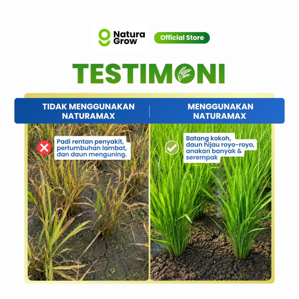 Naturagrow - NATURAMAX Rahasia Padi Hijau Royo-Royo & Bulir Berisi Maksimal