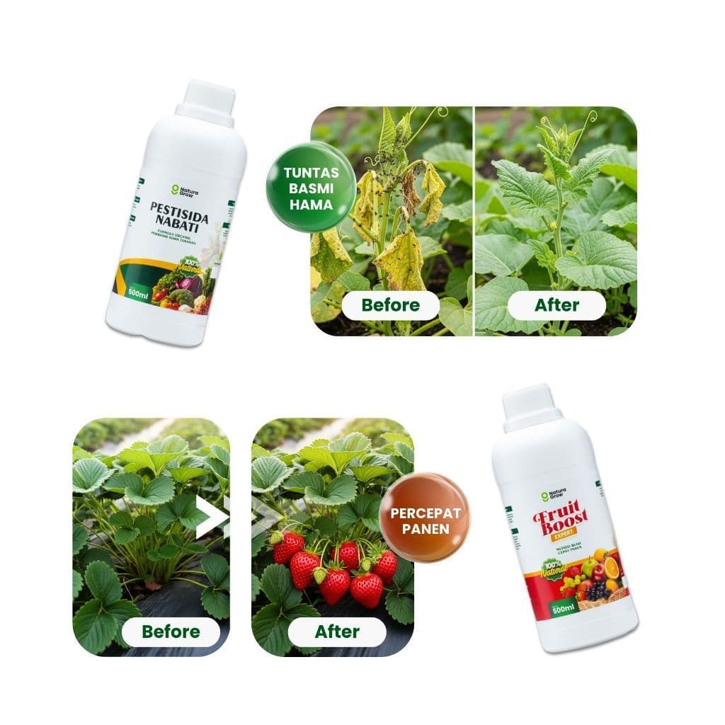 Naturagrow - Paket Pestisida Organik Anti Hama & Pupuk Buah Cepat Panen Pestisida Nabati 500ml + Fruit Boost Expert 500ml