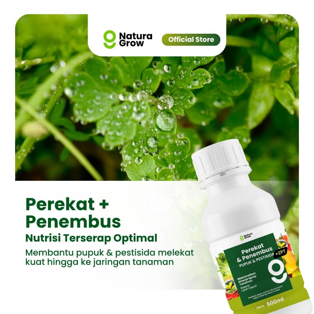 Naturagrow – Perekat + ZPT & Penembus Pori Tanaman  Maksimalkan Kerja Pupuk & Pestisida dalam Sekali Semprot!