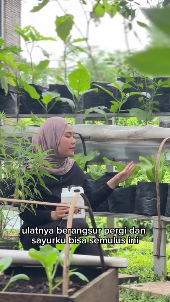 Naturagrow Pestisida Nabati 1 Liter - Obat Hama Jamur Bakteri Tanaman Organik Ampuh Basmi Kutu Daun Ulat Grayak & Semut