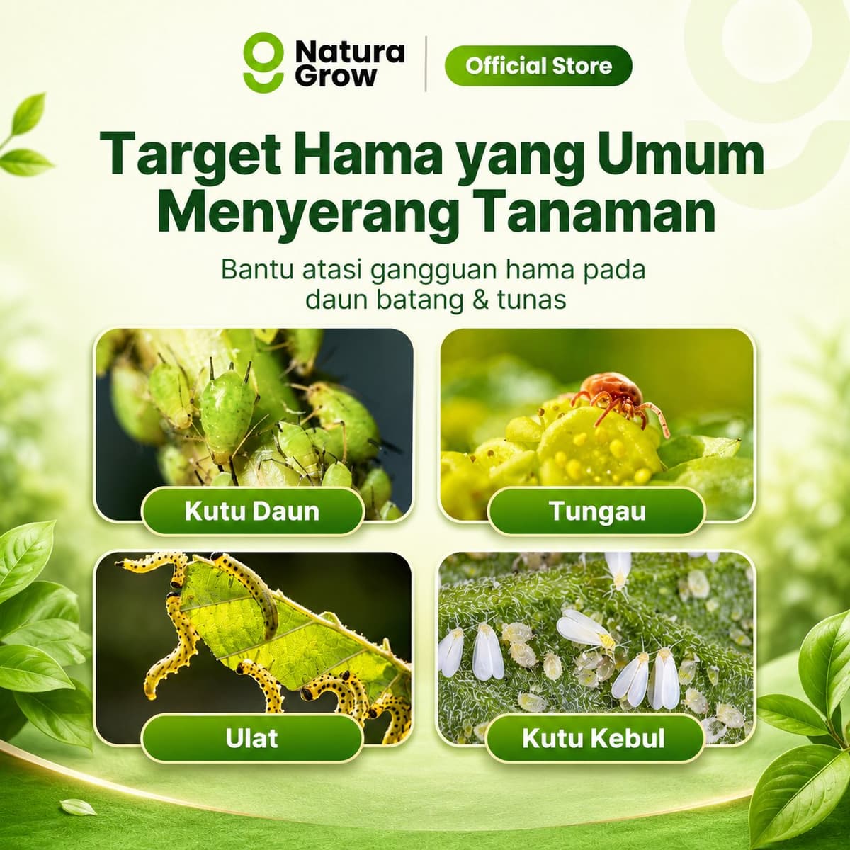 Pestisida Nabati NaturaGrow 1 Liter Pengendali Hama Tanaman Kutu Daun Ulat Tungau Kutu Kebul untuk Sayur Buah Bunga