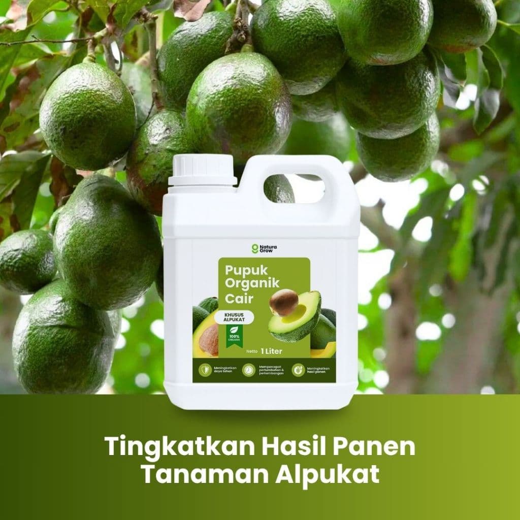 NATURAGROW – Pupuk Organik Cair Alpukat 1 LITER Pupuk Alami Cepat Tumbuh, Tahan Penyakit & Hasil Maksimal