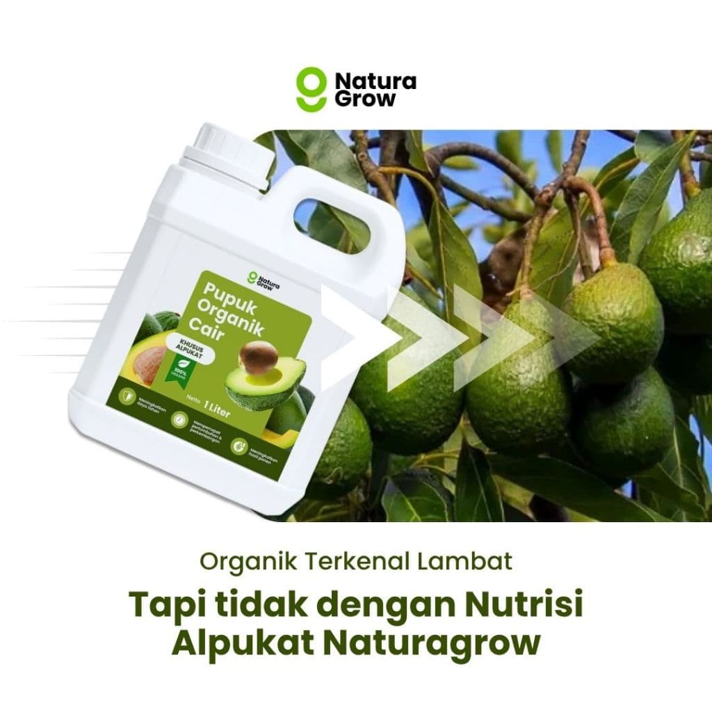 NATURAGROW – Pupuk Organik Cair Alpukat 1 LITER Pupuk Alami Cepat Tumbuh, Tahan Penyakit & Hasil Maksimal