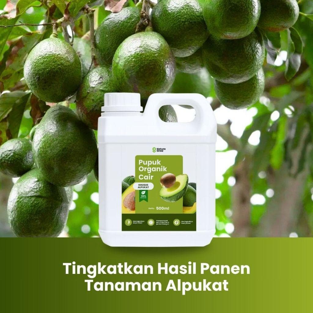 Pupuk Organik Cair Alpukat 500ml Pupuk Alami Cepat Tumbuh, Tahan Penyakit & Hasil Maksimal - Naturagrow