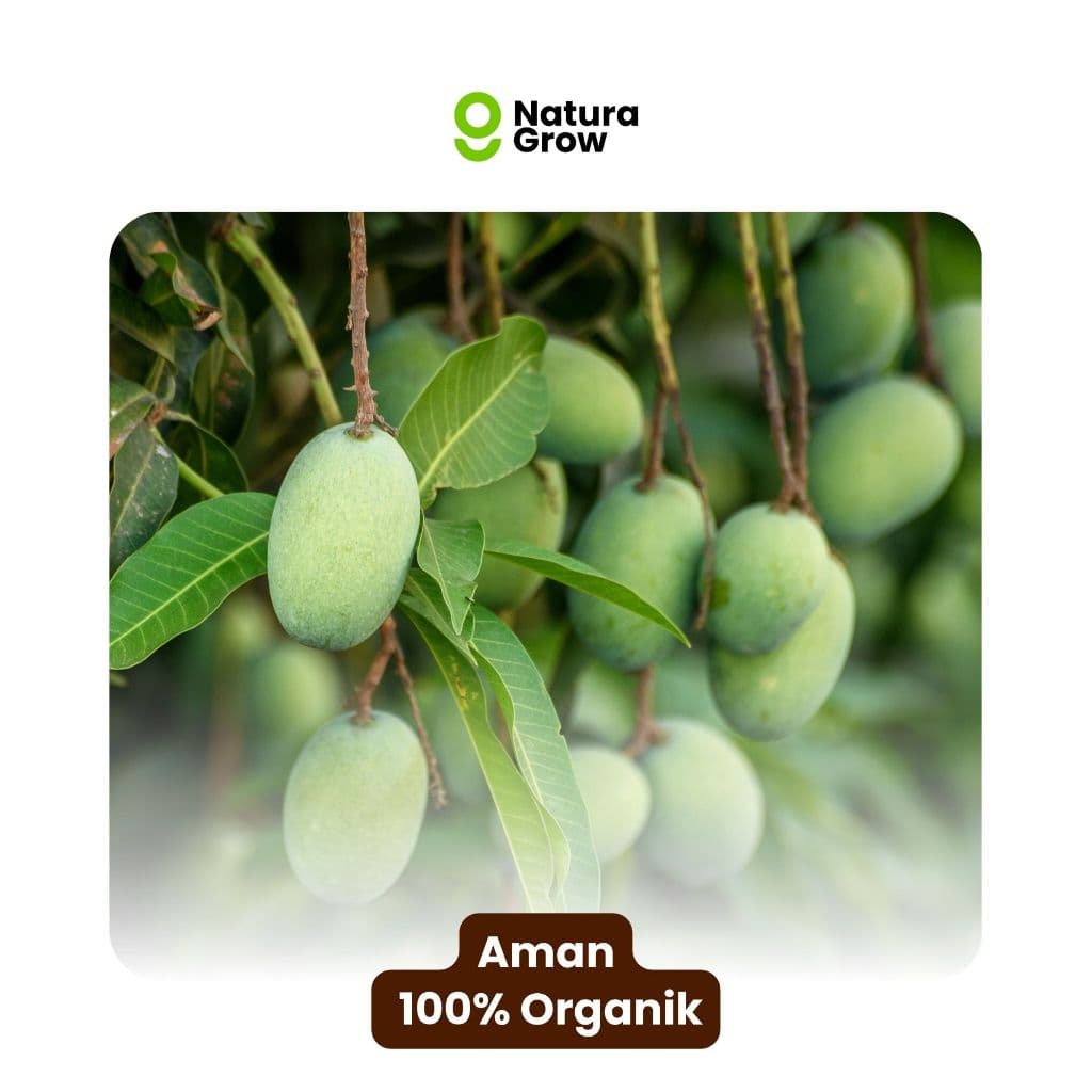 Naturagrow - Pupuk Organik Cair Formula Khusus Tanaman Buah 100ml