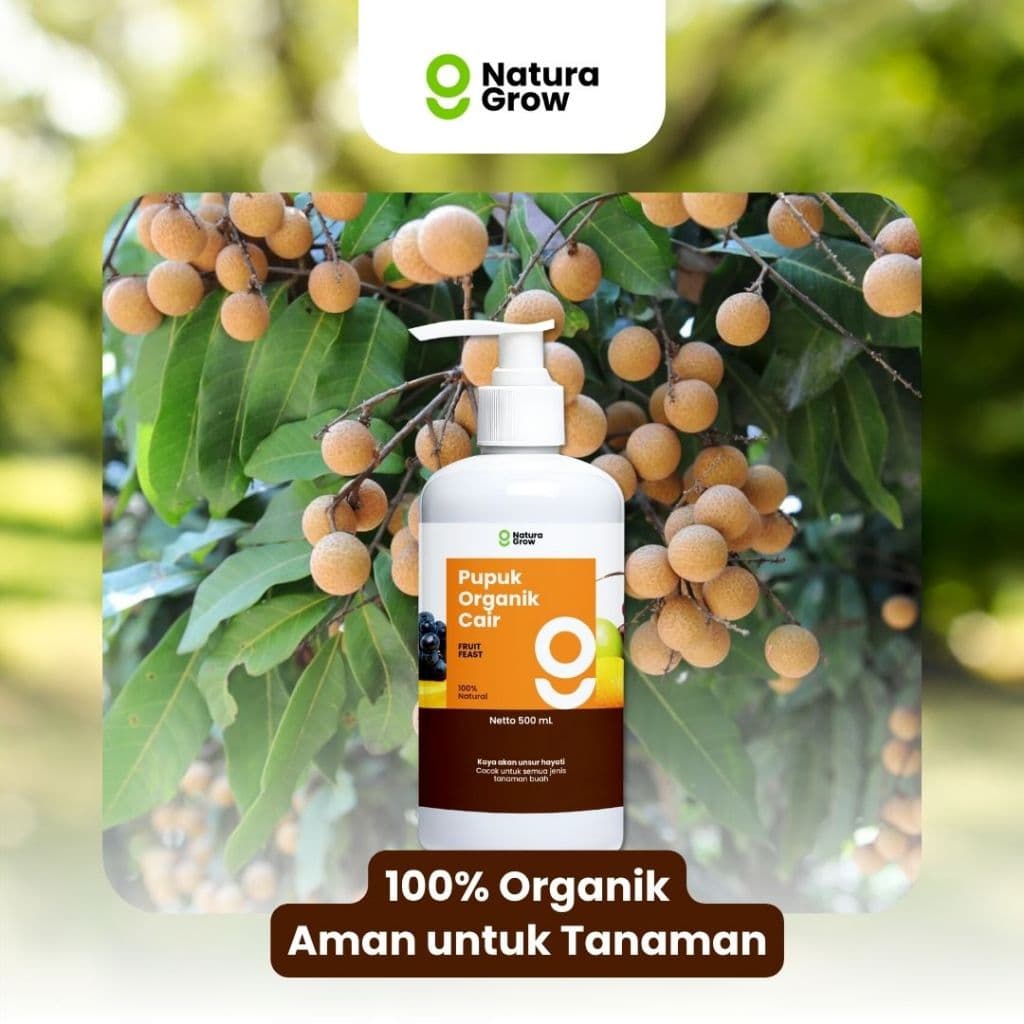 Pupuk Organik Cair Tanaman Buah 500ml Pupuk Pelebat Penyubur Buah Pupuk khusus buah mempercepat pembungaan dan pembuahan rasa manis pupuk penyubur tanaman buah mengandung ZPT - Naturagrow