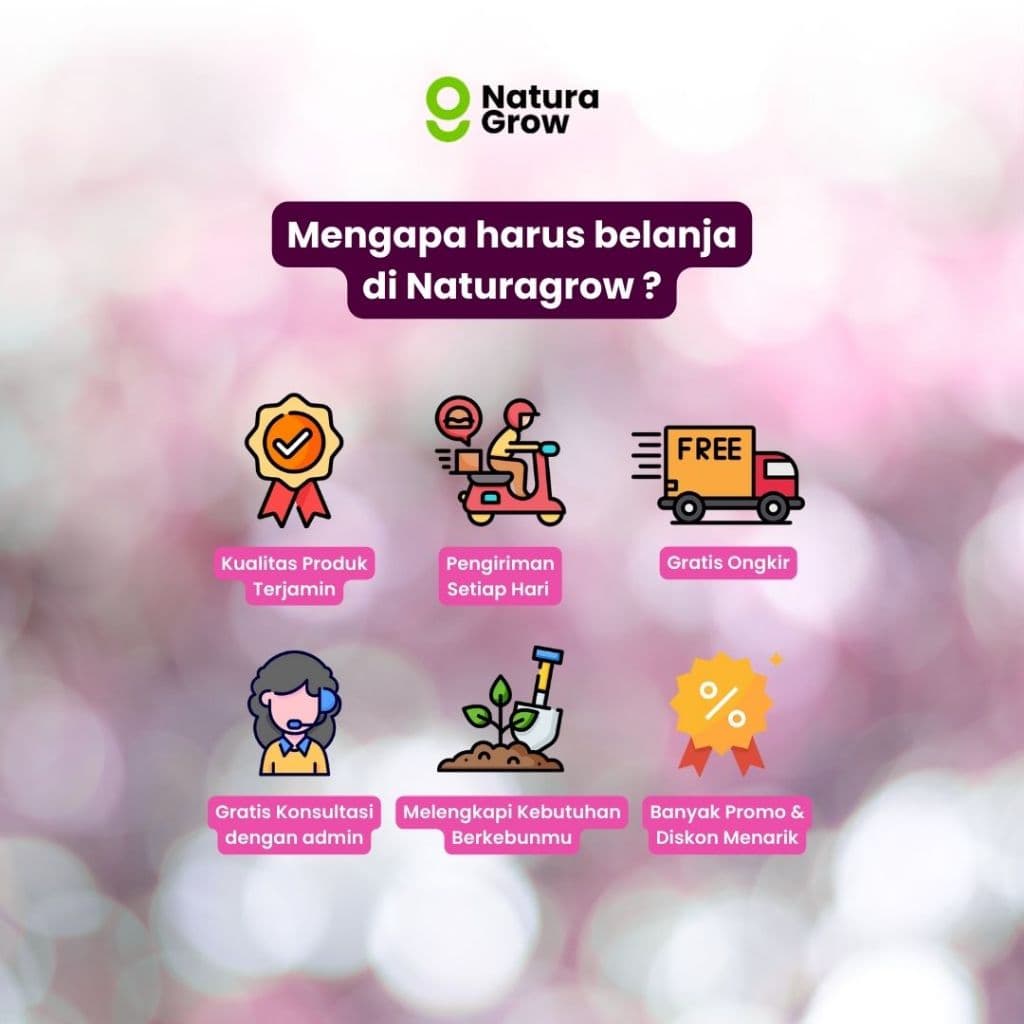 Naturagrow Pupuk Bunga Cair 500ml Nutrisi Tanaman Hias Mekar Subur Siap Pakai