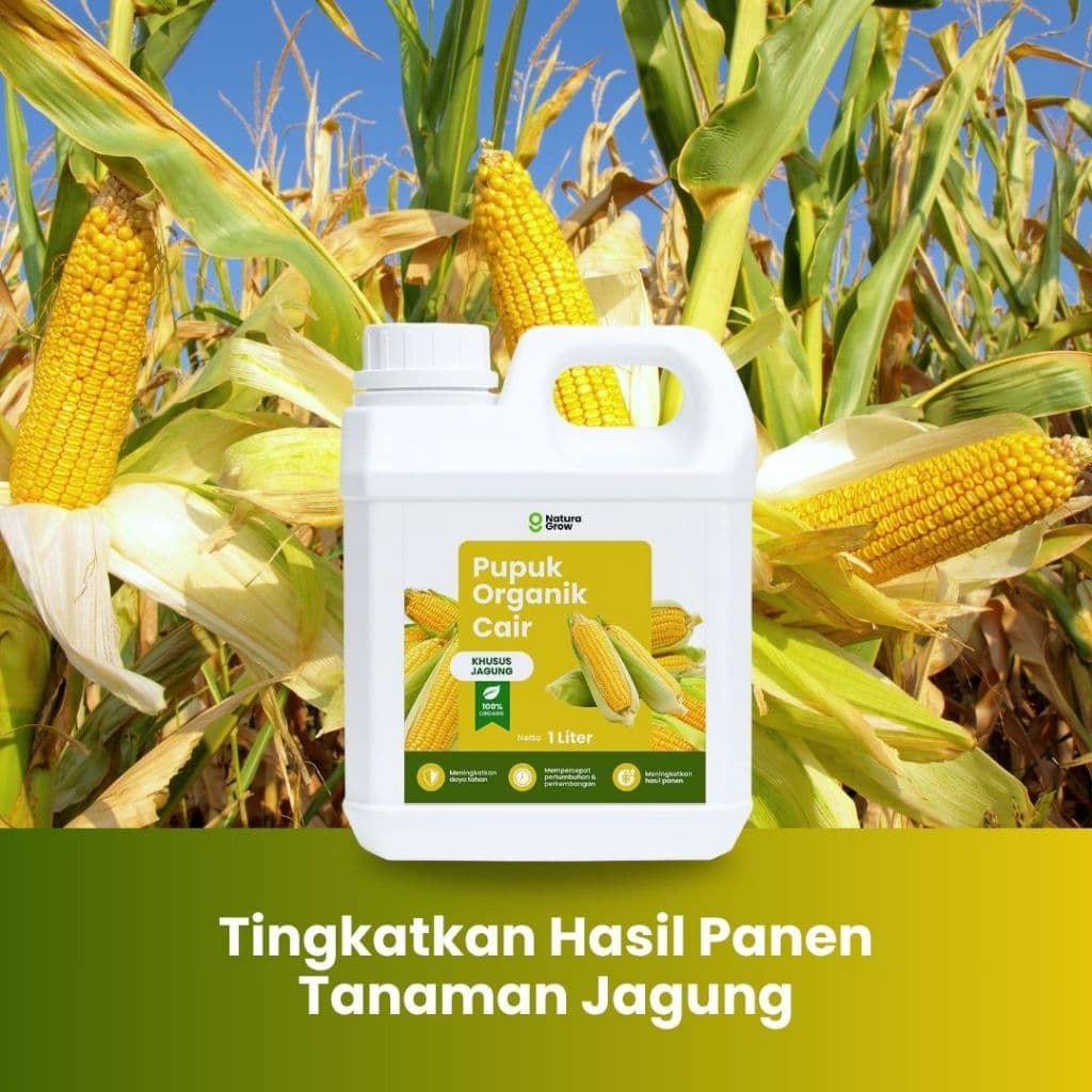 Naturagrow - Pupuk Organik Cair Jagung 1 LITER Tanaman Subur, Buah Melimpah & Jagung Berkualitas