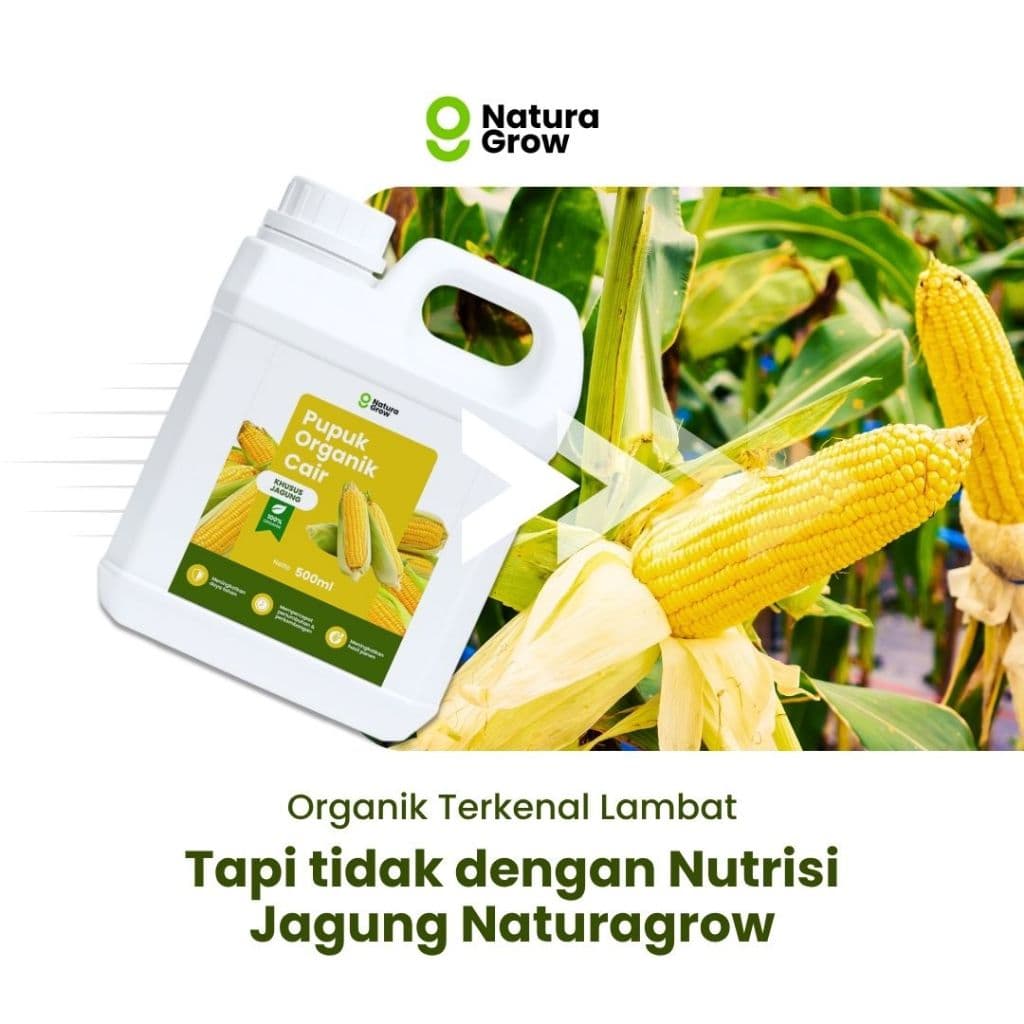 Naturagrow - Pupuk Organik Cair Jagung 500ML Tanaman Subur, Buah Melimpah & Jagung Berkualitas