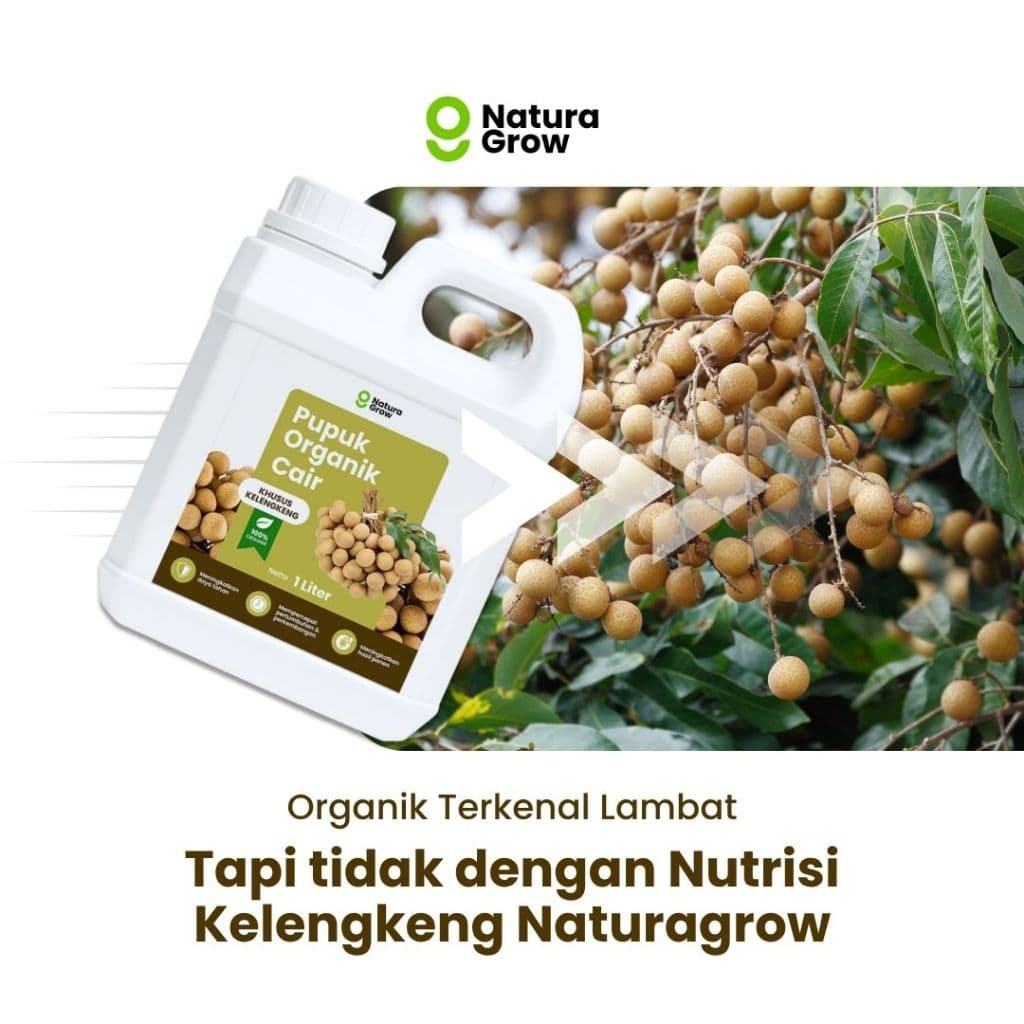 Naturagrow - Pupuk Organik Cair Kelengkeng 1 LITER Rahasia Kelengkeng Cepat Berbunga Buah Lebat & Manis