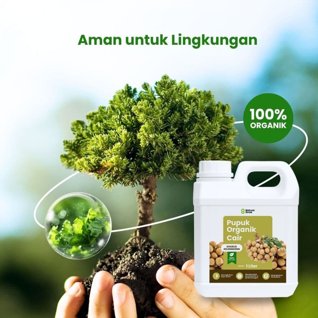 Naturagrow - Pupuk Organik Cair Kelengkeng 1 LITER Rahasia Kelengkeng Cepat Berbunga Buah Lebat & Manis