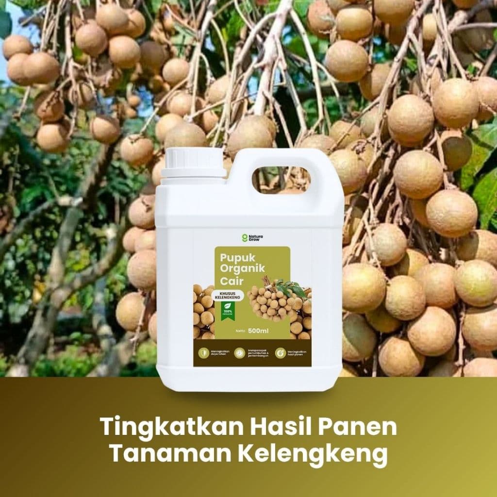 Naturagrow - Pupuk Organik Cair Kelengkeng 500ml Rahasia Kelengkeng Cepat Berbunga, Buah Lebat & Manis