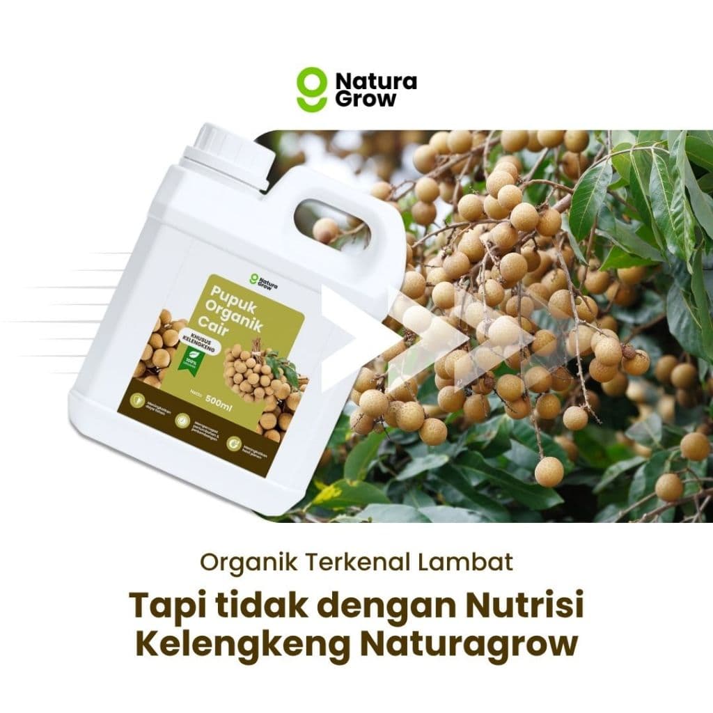 Naturagrow - Pupuk Organik Cair Kelengkeng 500ml Rahasia Kelengkeng Cepat Berbunga, Buah Lebat & Manis