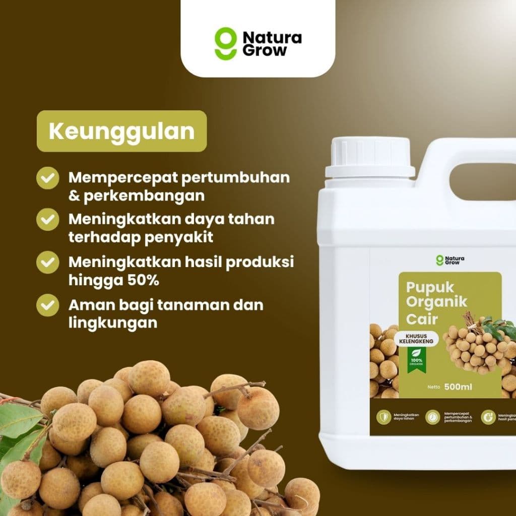 Naturagrow - Pupuk Organik Cair Kelengkeng 500ml Rahasia Kelengkeng Cepat Berbunga, Buah Lebat & Manis