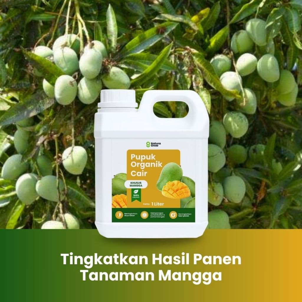 Naturagrow - Pupuk Organik Cair Mangga 1 LITER Bikin Buah Lebat, Rasa Manis & Hasil Melimpah