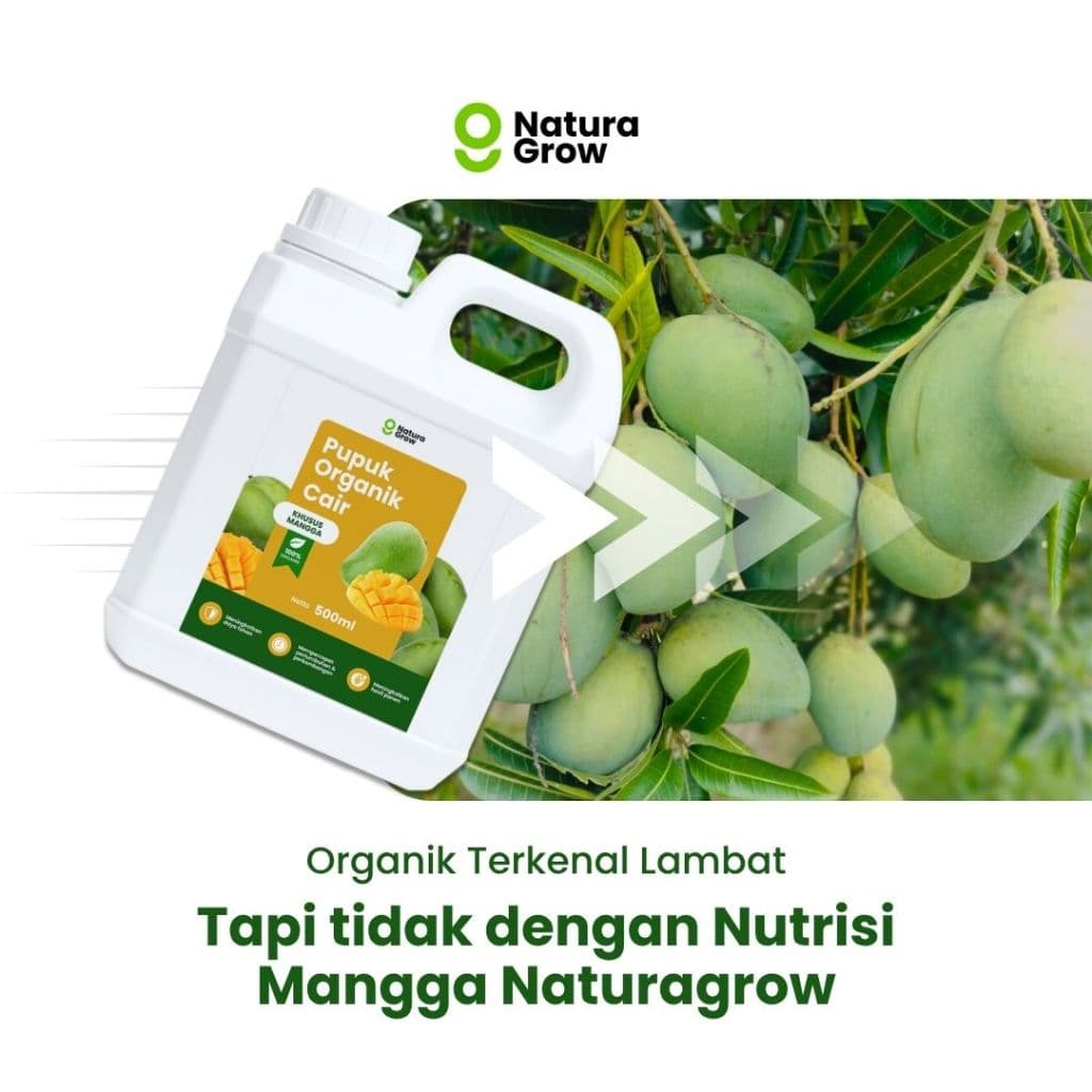 Naturagrow - Pupuk Organik Cair Mangga 500ML Bikin Buah Lebat, Rasa Manis & Hasil Melimpah