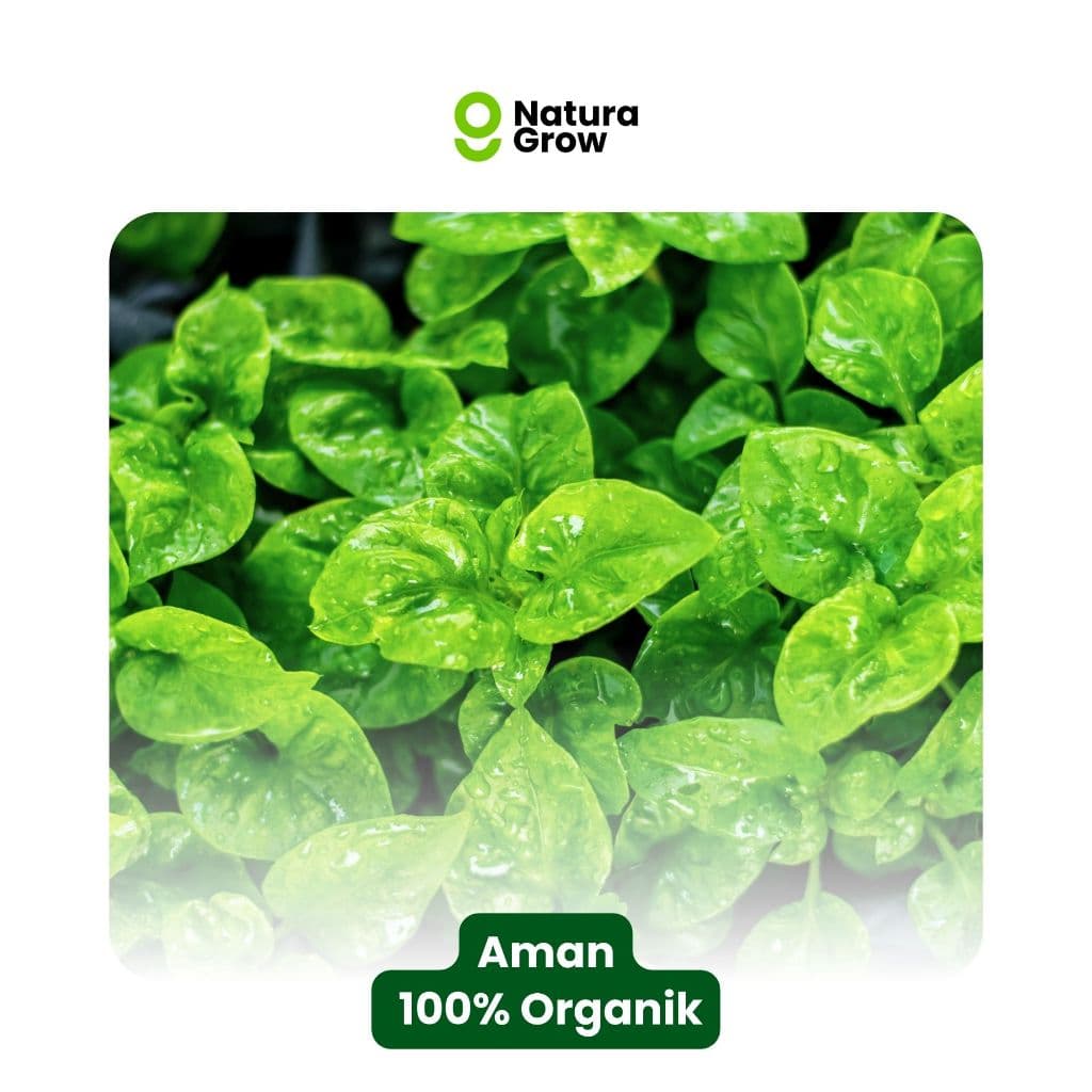Naturagrow - Pupuk Organik Cair Formula Khusus Tanaman Sayur 250ml