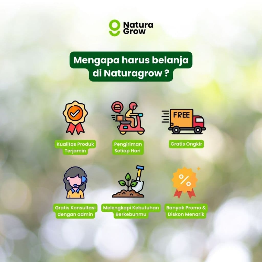 Naturagrow - Pupuk Organik Cair Siap Pakai Khusus Daun 500ml